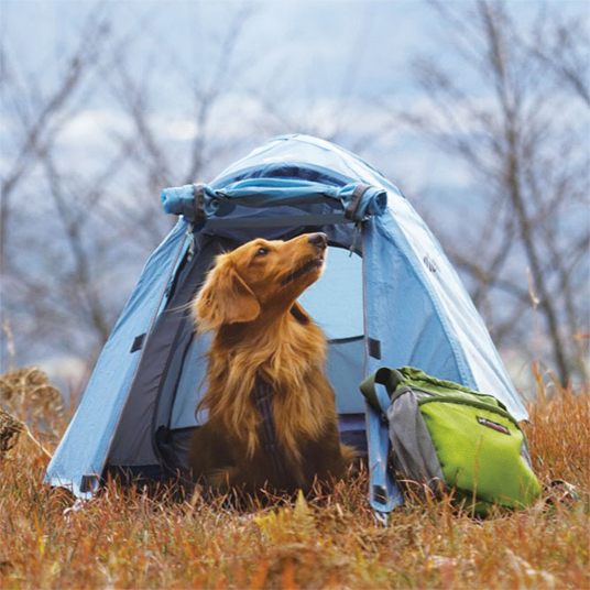 モンベルドギードーム犬用テント
